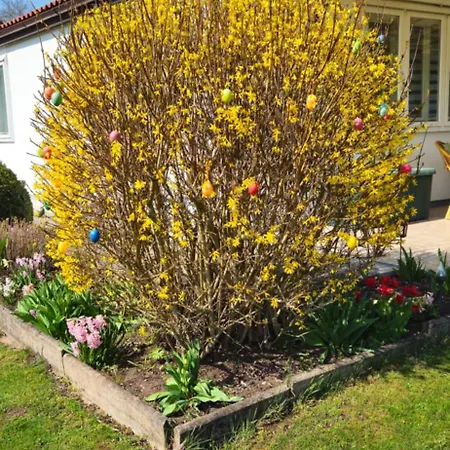 Arno - Thueringer Wald Apartment Waltershausen