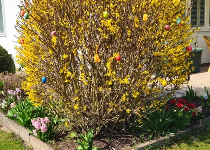 Arno - Thueringer Wald Appartement Waltershausen